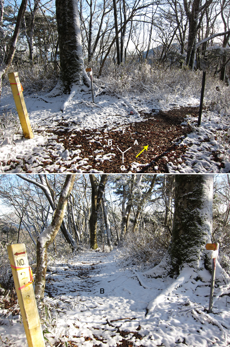 20191129hike (479)